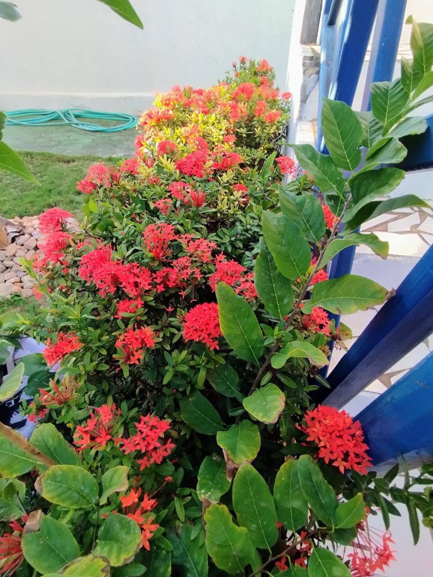 הוילה אקווירז Casa Solaris מראה חיצוני תמונה